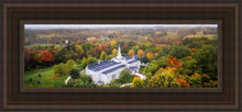 Load image into Gallery viewer, Palmyra and Sacred Grove Aerial

