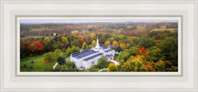 Load image into Gallery viewer, Palmyra and Sacred Grove Aerial
