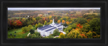 Load image into Gallery viewer, Palmyra and Sacred Grove Aerial
