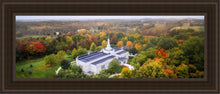 Load image into Gallery viewer, Palmyra and Sacred Grove Aerial
