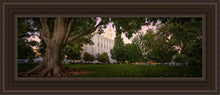 Load image into Gallery viewer, St. George Tree Of Life
