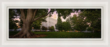 Load image into Gallery viewer, St. George Tree Of Life

