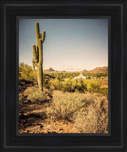 Load image into Gallery viewer, Phoenix Cactus Hill
