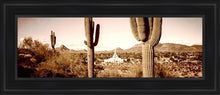 Load image into Gallery viewer, Phoenix Saguaro Cactus
