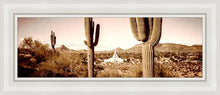 Load image into Gallery viewer, Phoenix Saguaro Cactus
