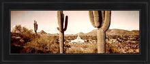 Load image into Gallery viewer, Phoenix Saguaro Cactus
