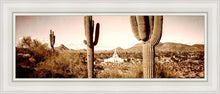 Load image into Gallery viewer, Phoenix Saguaro Cactus

