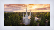 Load image into Gallery viewer, Portland from on High
