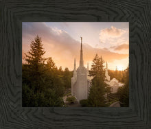 Load image into Gallery viewer, Portland High Glow
