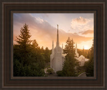 Load image into Gallery viewer, Portland High Glow
