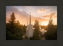 Load image into Gallery viewer, Portland High Glow
