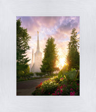 Load image into Gallery viewer, Portland Garden Circle
