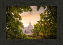 Load image into Gallery viewer, Reno Gardens
