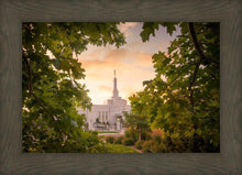 Load image into Gallery viewer, Reno Gardens
