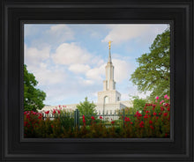 Load image into Gallery viewer, Sacramento Flowers
