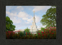 Load image into Gallery viewer, Sacramento Flowers
