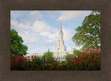Load image into Gallery viewer, Sacramento Flowers
