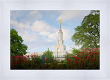 Load image into Gallery viewer, Sacramento Flowers
