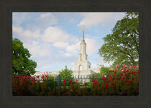 Load image into Gallery viewer, Sacramento Flowers
