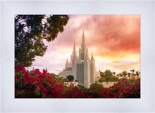 Load image into Gallery viewer, San Diego Flowers
