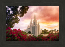 Load image into Gallery viewer, San Diego Flowers
