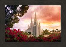 Load image into Gallery viewer, San Diego Flowers
