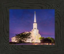 Load image into Gallery viewer, Spirit in St. Louis

