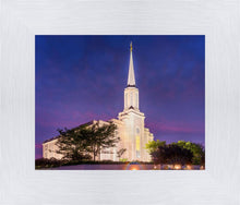 Load image into Gallery viewer, Spirit in St. Louis
