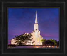 Load image into Gallery viewer, Spirit in St. Louis
