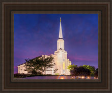Load image into Gallery viewer, Spirit in St. Louis
