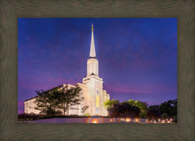 Load image into Gallery viewer, Spirit in St. Louis
