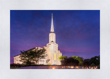 Load image into Gallery viewer, Spirit in St. Louis
