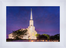 Load image into Gallery viewer, Spirit in St. Louis
