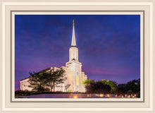 Load image into Gallery viewer, Spirit in St. Louis
