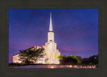 Load image into Gallery viewer, Spirit in St. Louis
