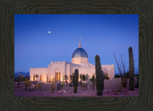 Load image into Gallery viewer, Tucson Cactus Morning
