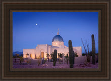 Load image into Gallery viewer, Tucson Cactus Morning
