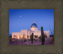 Load image into Gallery viewer, Tucson Cactus Morning
