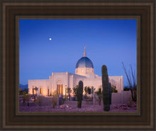 Load image into Gallery viewer, Tucson Cactus Morning
