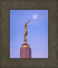 Load image into Gallery viewer, Tucson Trumpet Moon

