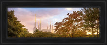 Load image into Gallery viewer, Washington DC Sunset
