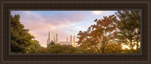 Load image into Gallery viewer, Washington DC Sunset
