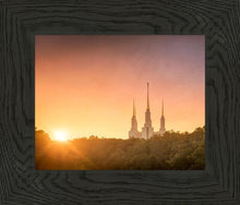 Load image into Gallery viewer, Washington DC Sunset Gold
