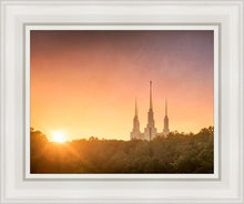 Load image into Gallery viewer, Washington DC Sunset Gold
