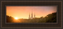 Load image into Gallery viewer, Washington DC Sunset Gold
