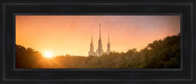 Load image into Gallery viewer, Washington DC Sunset Gold
