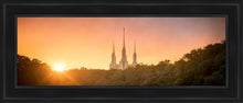 Load image into Gallery viewer, Washington DC Sunset Gold

