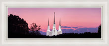 Load image into Gallery viewer, Washington DC Sunset Glow Panorama

