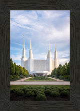 Load image into Gallery viewer, Washington DC Blue
