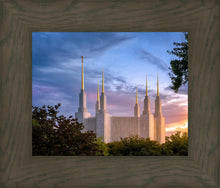 Load image into Gallery viewer, Washington DC Last Sunset
